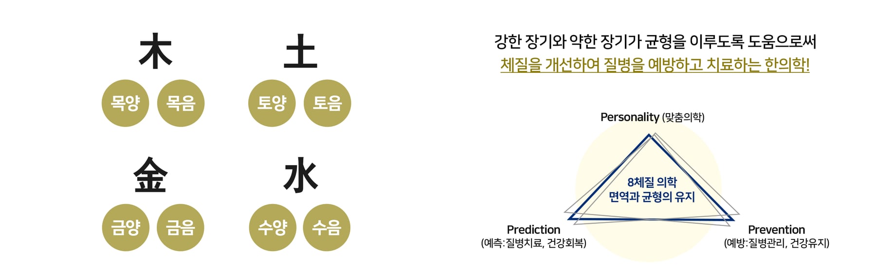8체질 의학 정의 — 木土金水 8체질 분류와 맞춤의학·예측·예방 트라이앵글