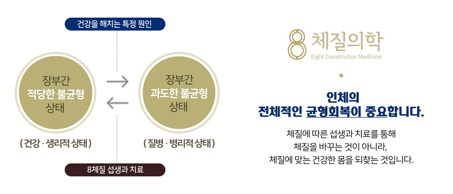 8체질 치료법 — 장부간 적당한 불균형(건강)과 과도한 불균형(질병), 인체의 전체적인 균형회복