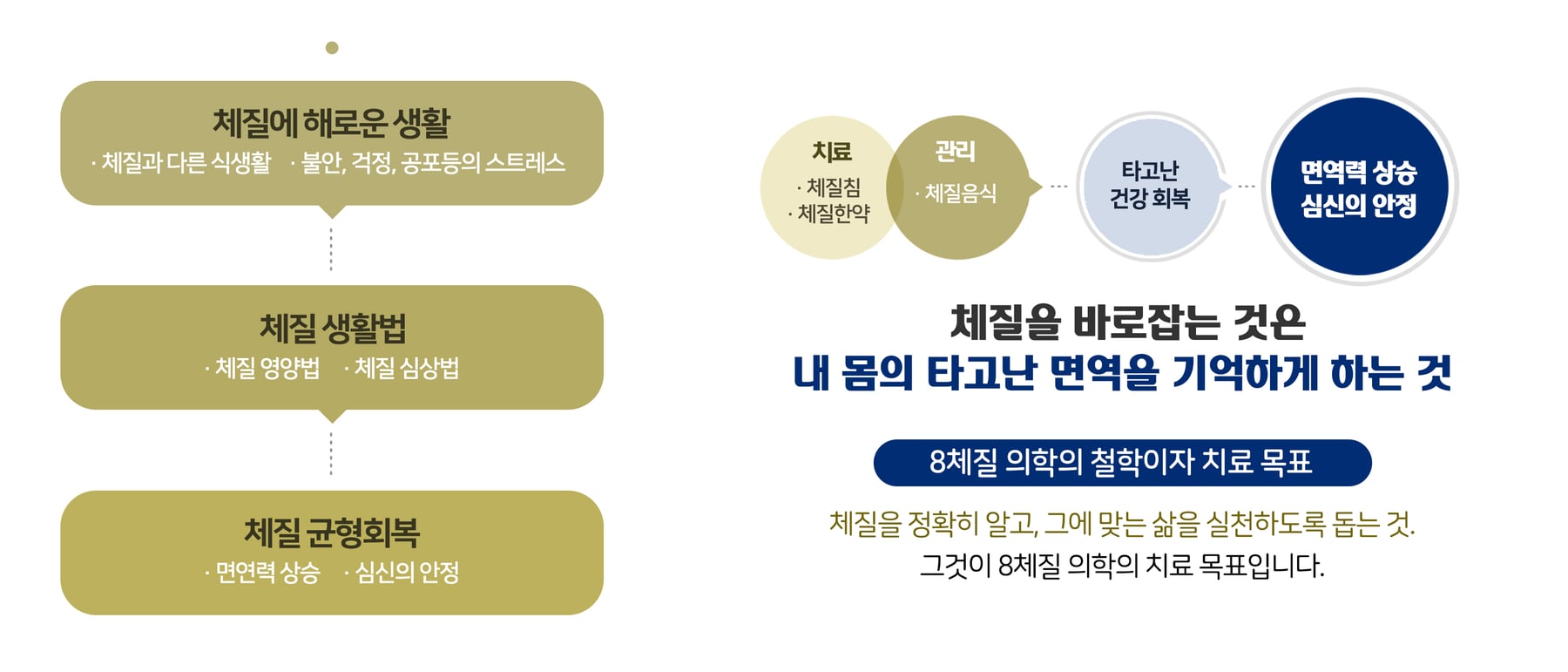 8체질 치료법 — 체질 생활법을 통한 균형회복, 체질을 바로잡는 것은 내 몸의 타고난 면역을 기억하게 하는 것