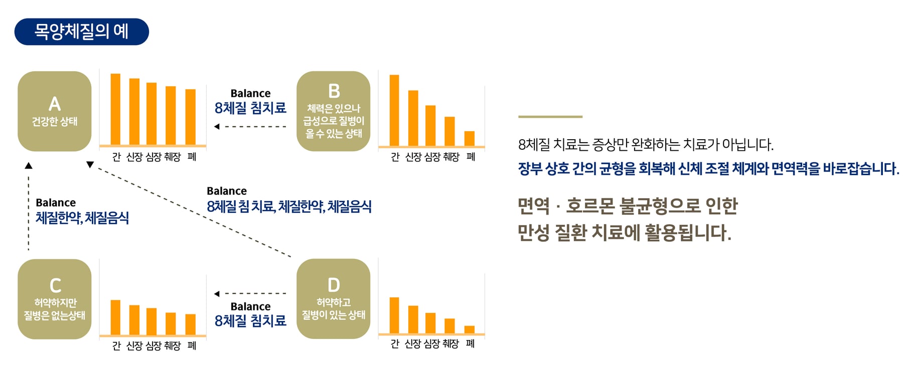 8체질 치료의 장점 — 목양체질 예시, 건강 상태별(A~D) 체질침·체질한약·체질음식 적용