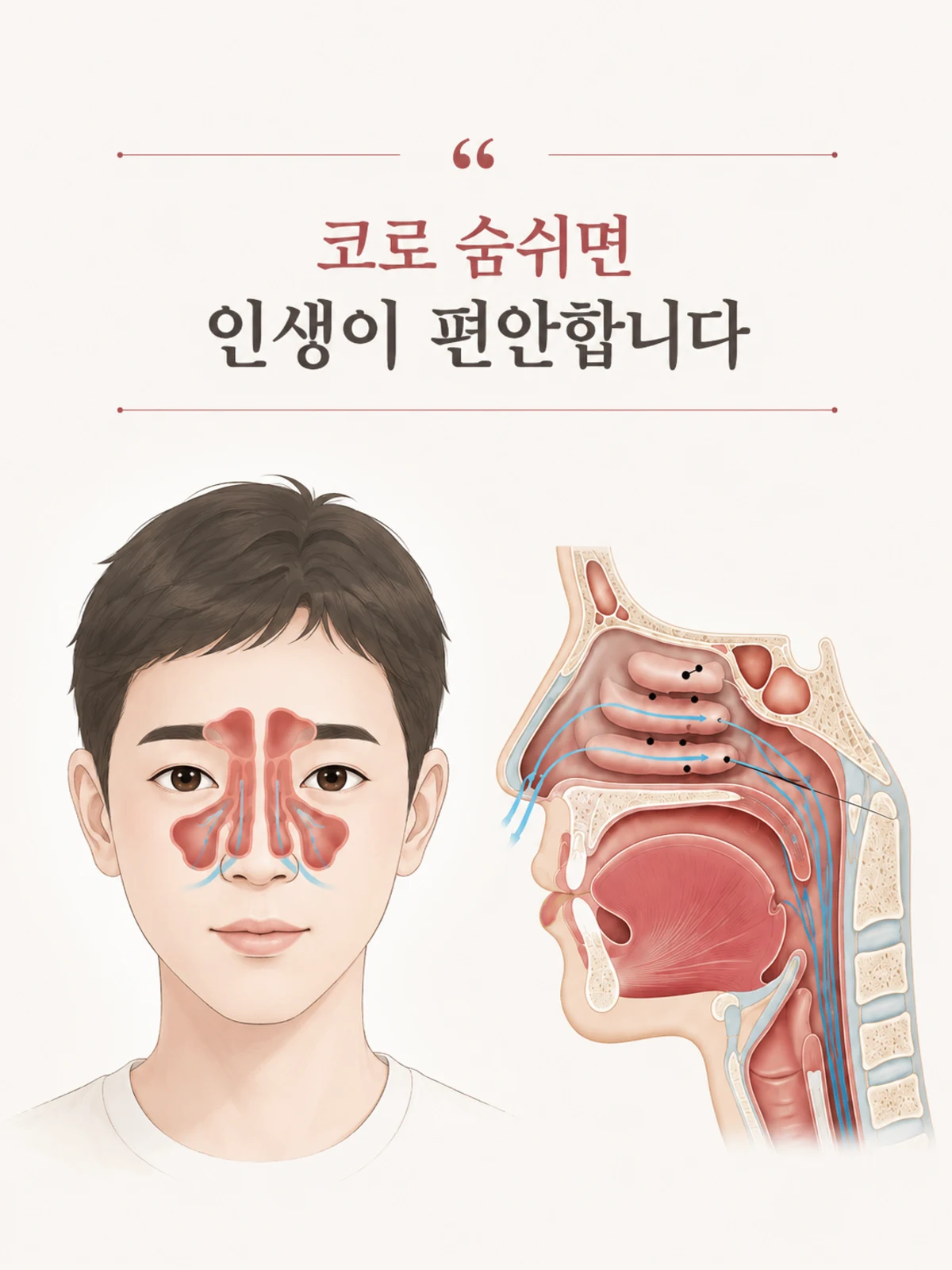 코로 숨 쉬면 인생이 편안합니다 — 콧속 공기 순환과 비강 구조 그림