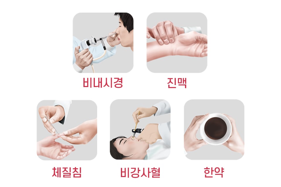 경희미르애한의원 코질환 치료 프로그램 — 비내시경, 진맥, 체질침, 비강사혈, 한약